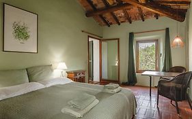 Podere Mencoini, Stylish Villa With Private Pool And Olive Garden